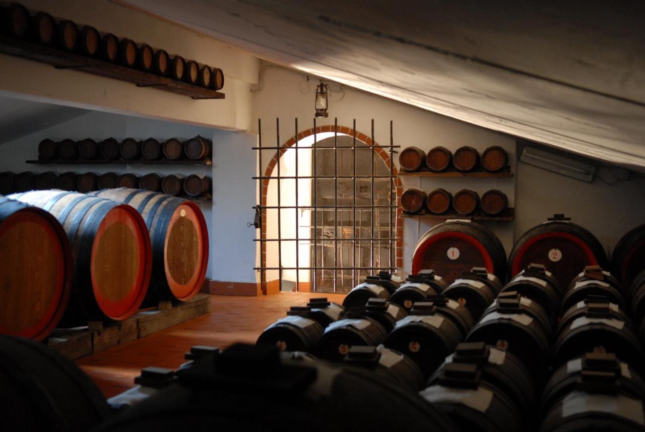Real Bb Balsamico Bed and Breakfast Bastiglia Εξωτερικό φωτογραφία